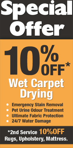 10% off Wet Carpet Drying Tweed Coast